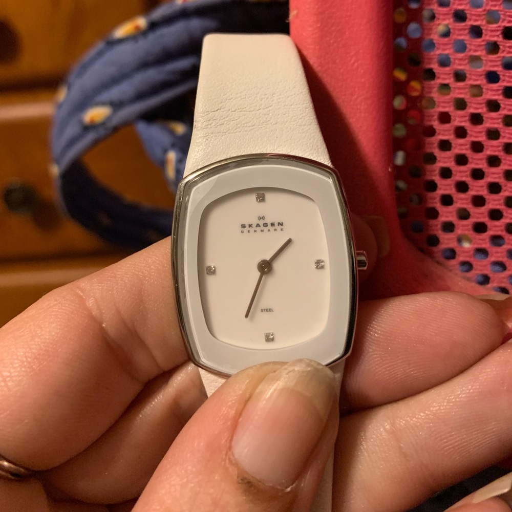 Skagen watch.